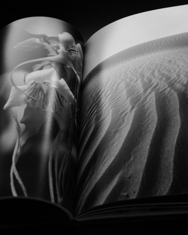 Zero Equals Two - 12