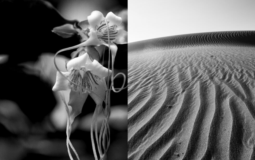 Zero Equals Two - 13