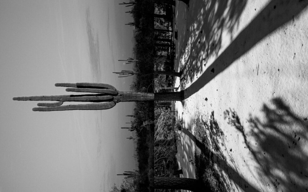 Zero Equals Two - 16