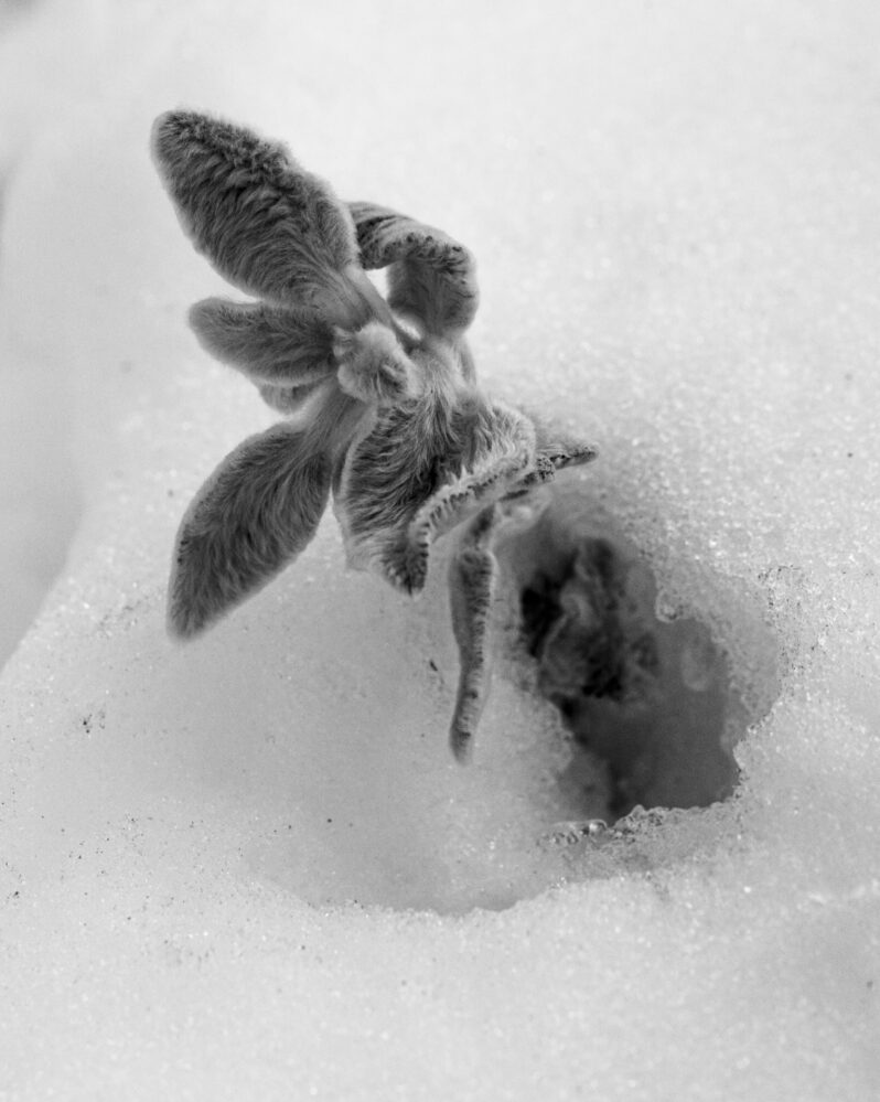 Zero Equals Two - 18